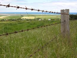 A barbed wire fence with a green field and cloudy blue sky in the background.