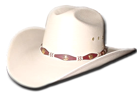 white cowboy hat