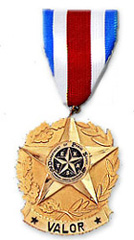 A gold circular medal with branches around the edge, a star in the center, a smaller star in the center of that star with the letters of the word "Texas" alternating with the star points. The bottom of the medal has the word "Valor" printed on it and has a red, white, and blue striped ribbon attachment.