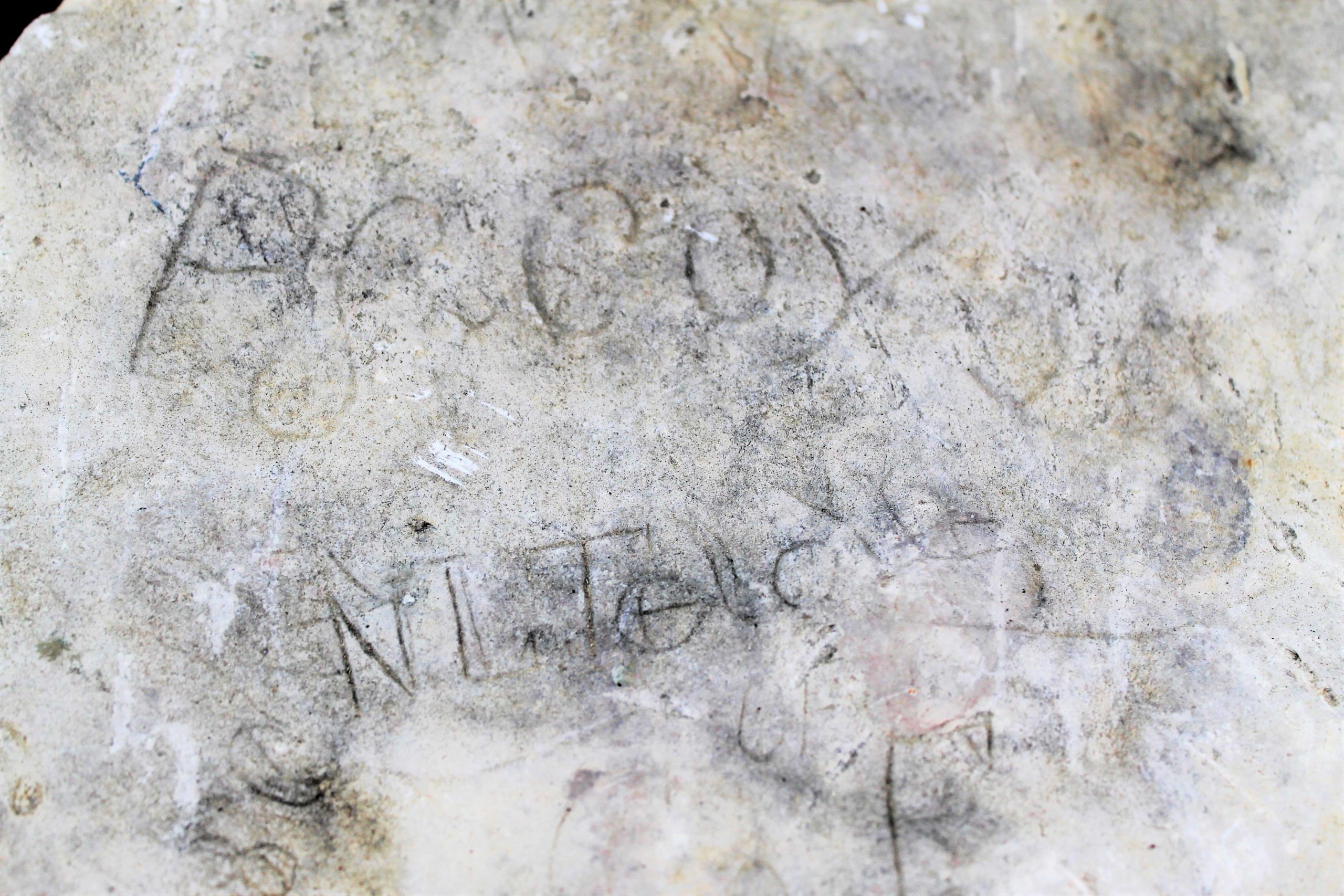 inscription Coy on white, gray, tan stone