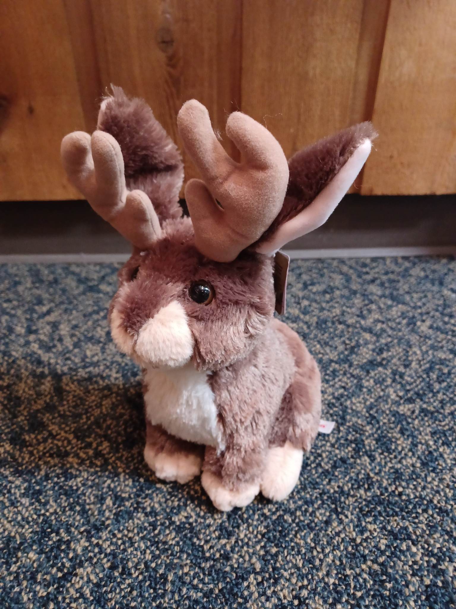 STORE_jackalope